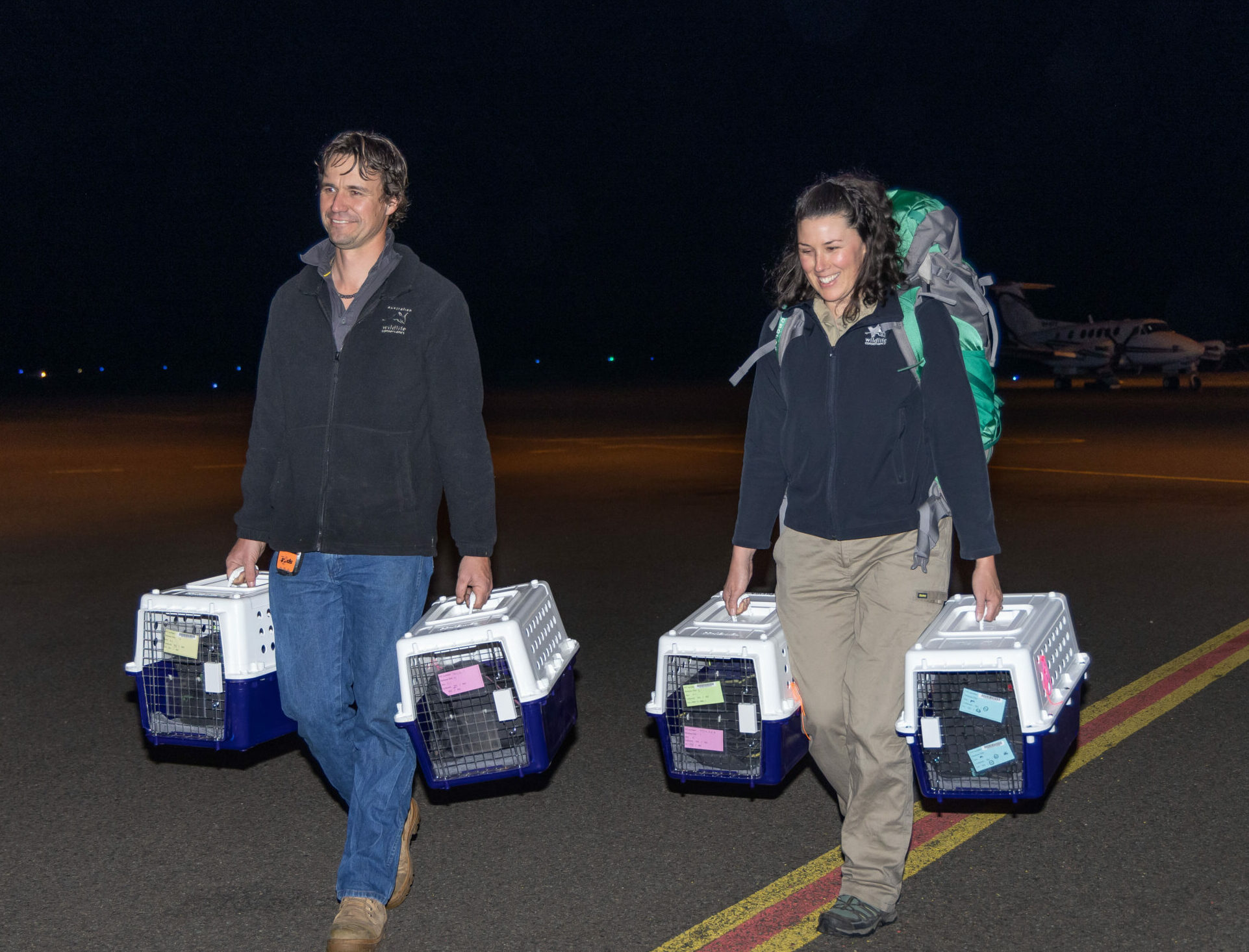 Brush-tailed bettongs back in Pilliga after 100 years