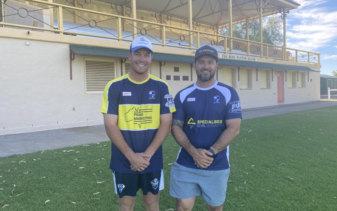 T20 champions to be crowned at Collins Park on Saturday