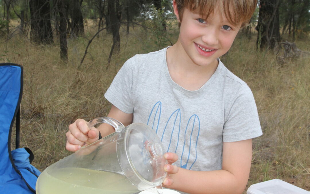 When life gives you lemons, make fresh lemonade and earn some pocket money