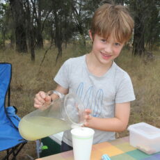 When life gives you lemons, make fresh lemonade and earn some pocket money