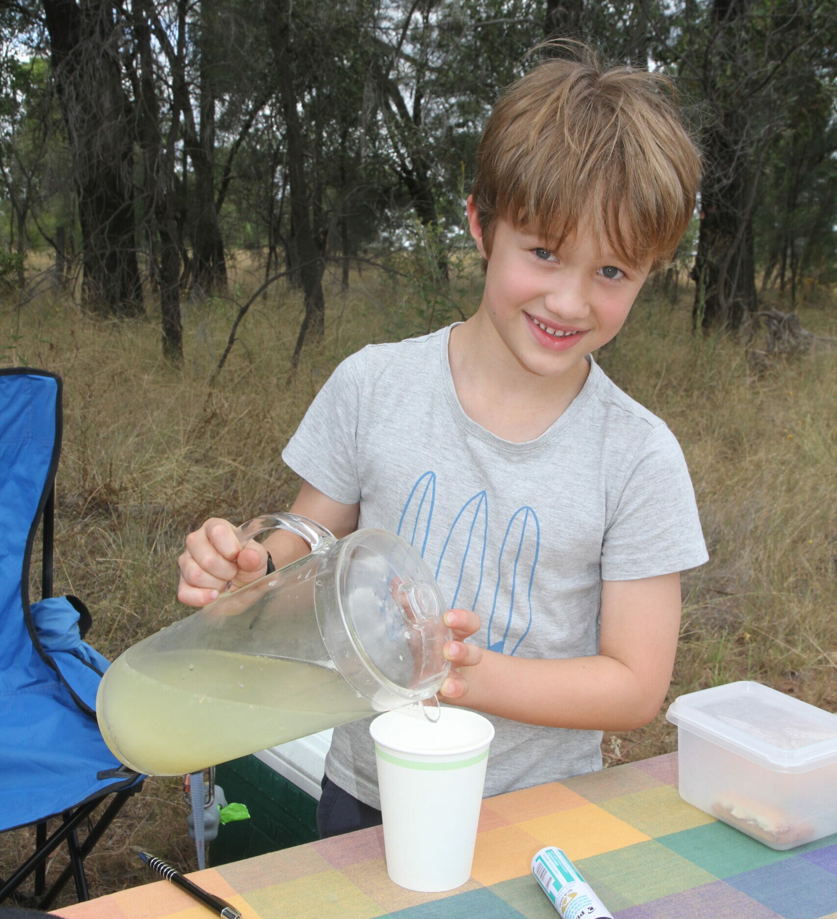 When life gives you lemons, make fresh lemonade and earn some pocket money