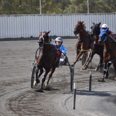 Miss Maravu Delights at Tamworth Paceway