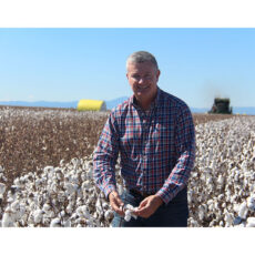 Census data shows cotton’s significant economic contribution