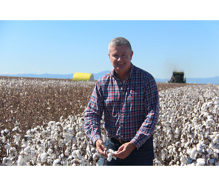 Census data shows cotton’s significant economic contribution