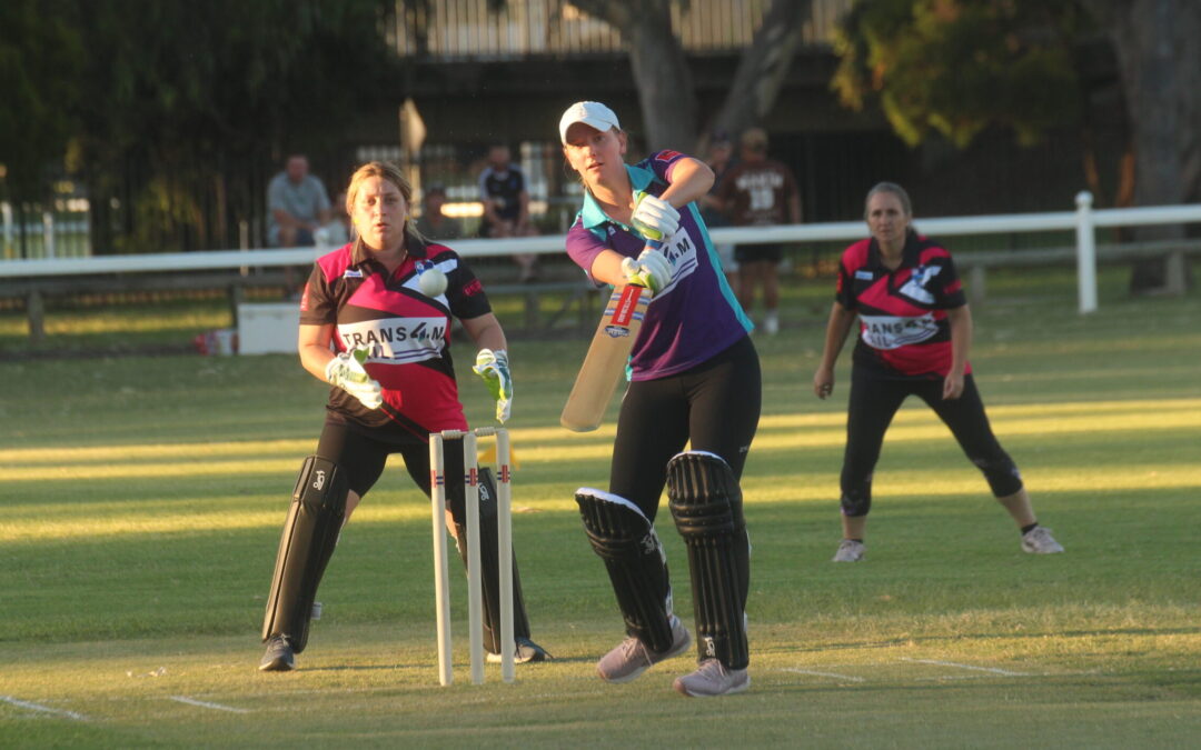 Nandewar Motel and Dreamtime Mirri score round one victories as NDWCA competition begins