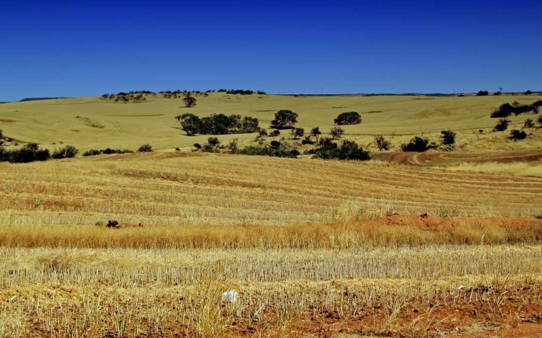 Narrabri included in Farms of the Future government program