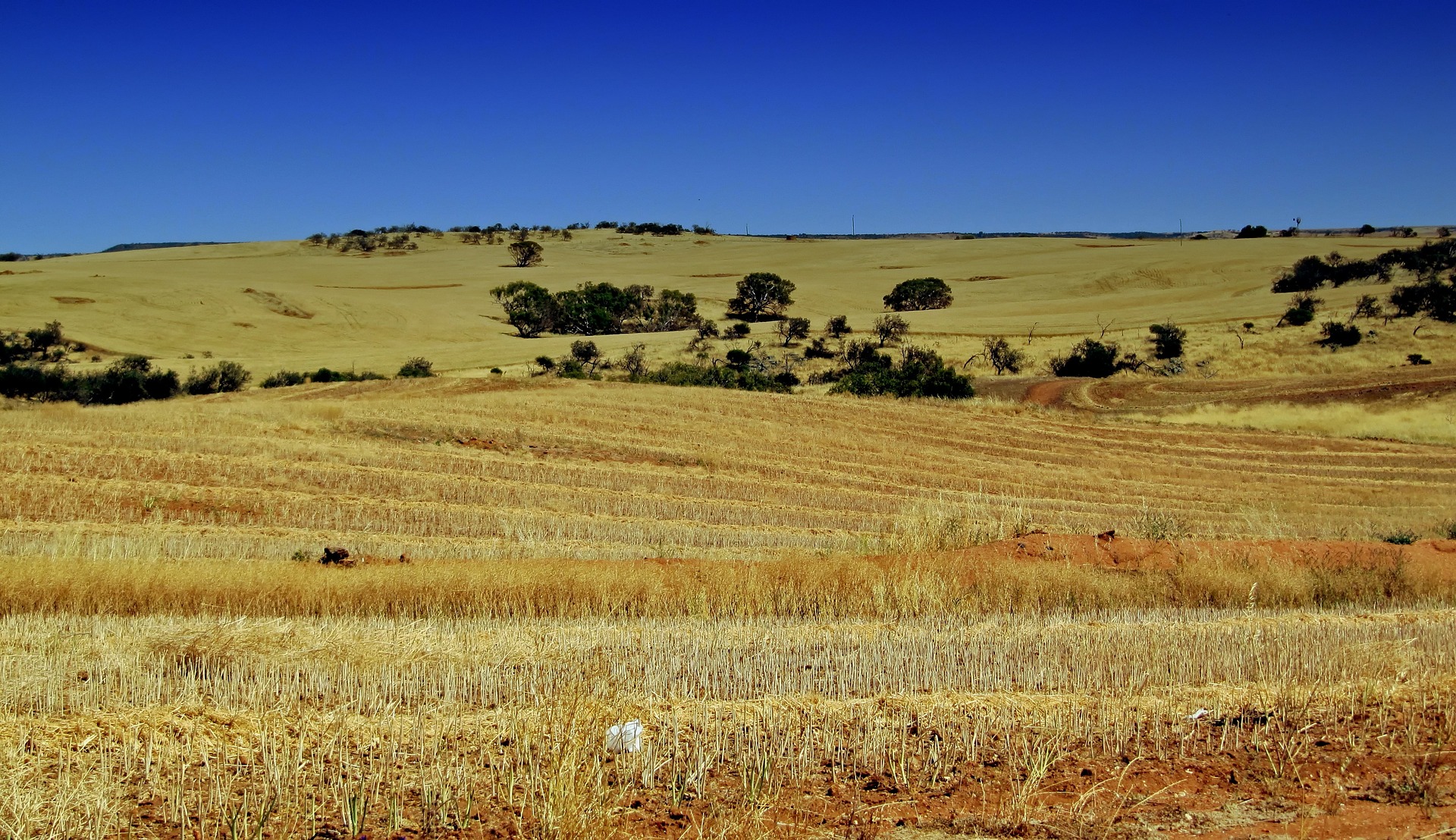 Narrabri included in Farms of the Future government program
