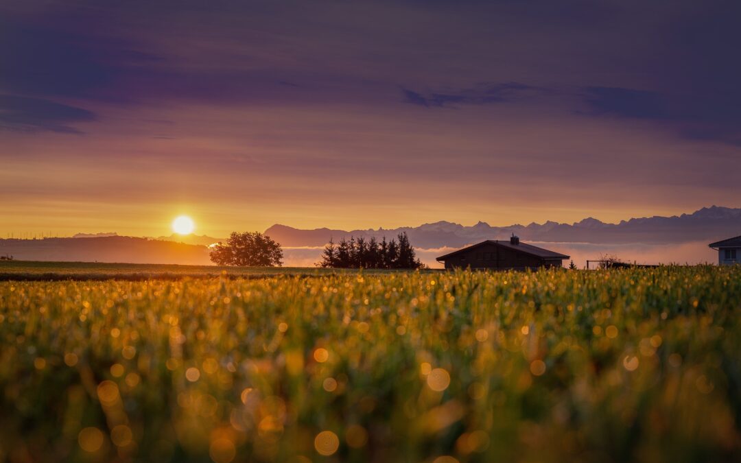 Consistent growth in Narrabri property prices