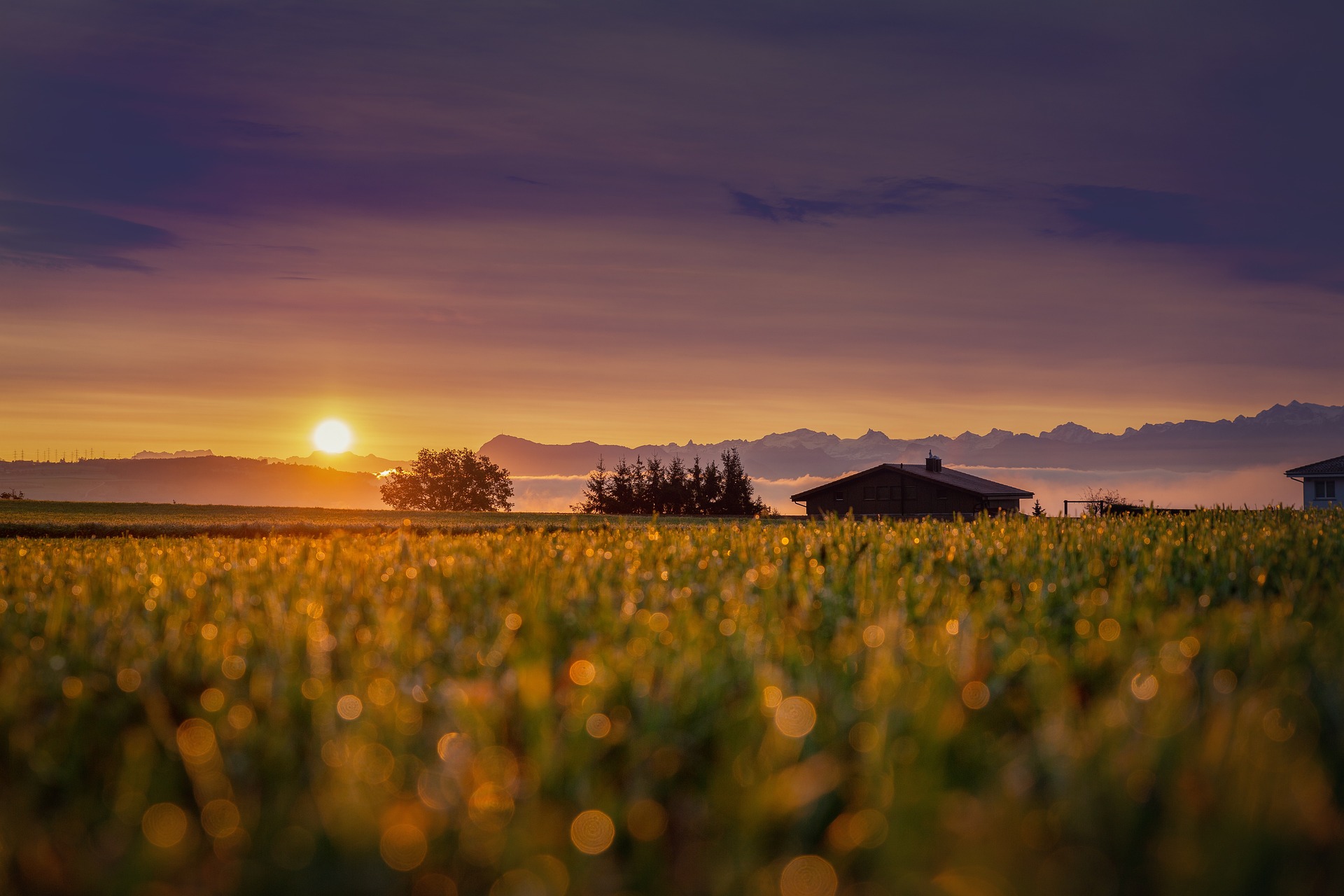 Consistent growth in Narrabri property prices