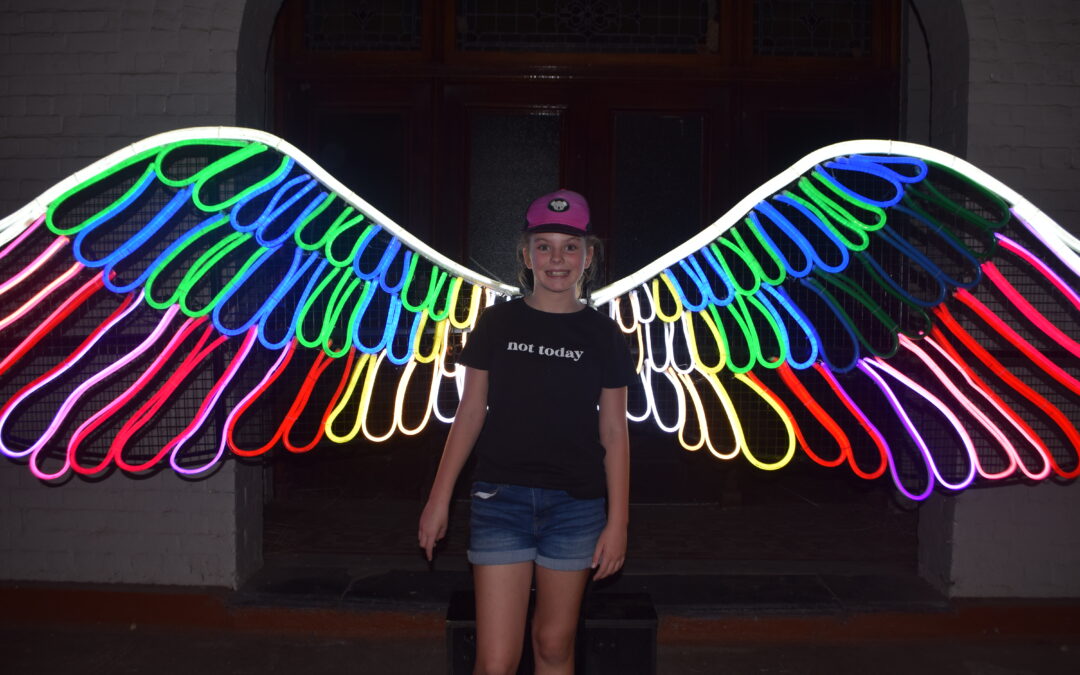 Lights and sights galore at NarraBRIGHT festival | PHOTOS