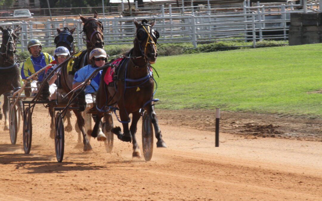 Jarred Hetherington-trained Moon Rainbow races to victory at Narrabri Showground