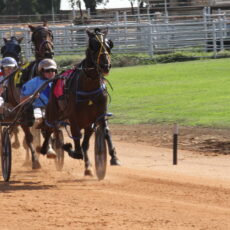 Jarred Hetherington-trained Moon Rainbow races to victory at Narrabri Showground