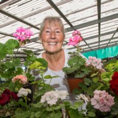 Garden Club to celebrate Geraniums and Pelargoniums