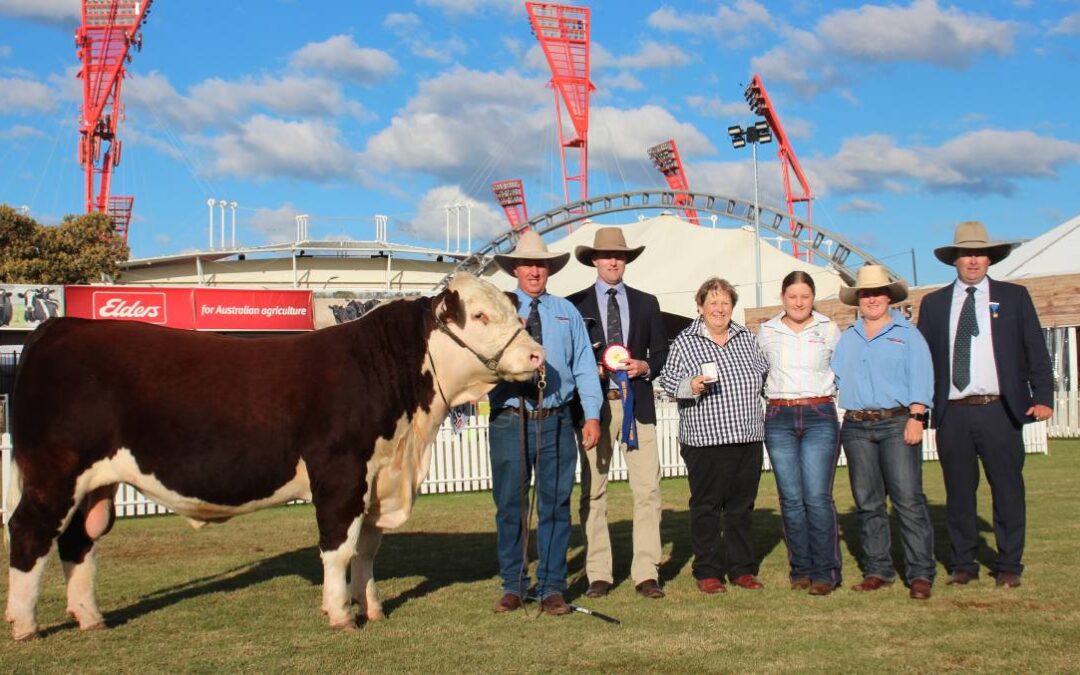 Sydney Royal success for Truro