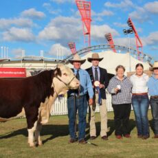 Sydney Royal success for Truro