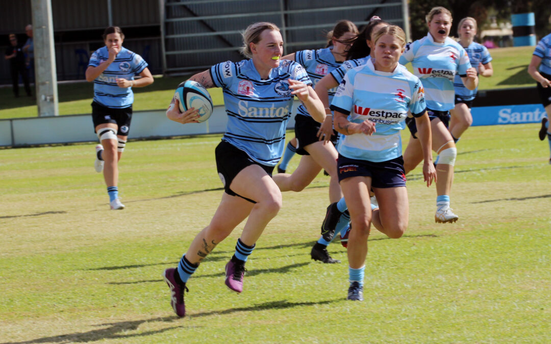 Blue Boars women down the Lionesses in a sevens contest at Dangar Park