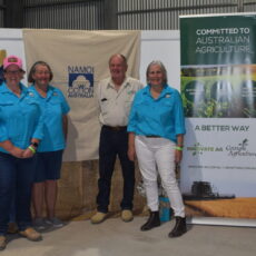 Music Muster attracts big crowd to Cotton Capital