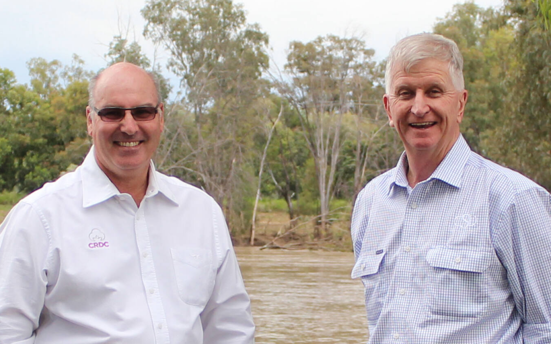 New Cotton Seed Distributors chief executive officer appointed