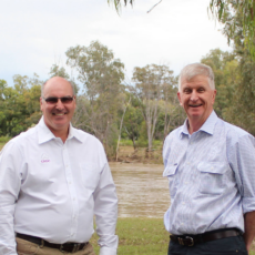 New Cotton Seed Distributors chief executive officer appointed