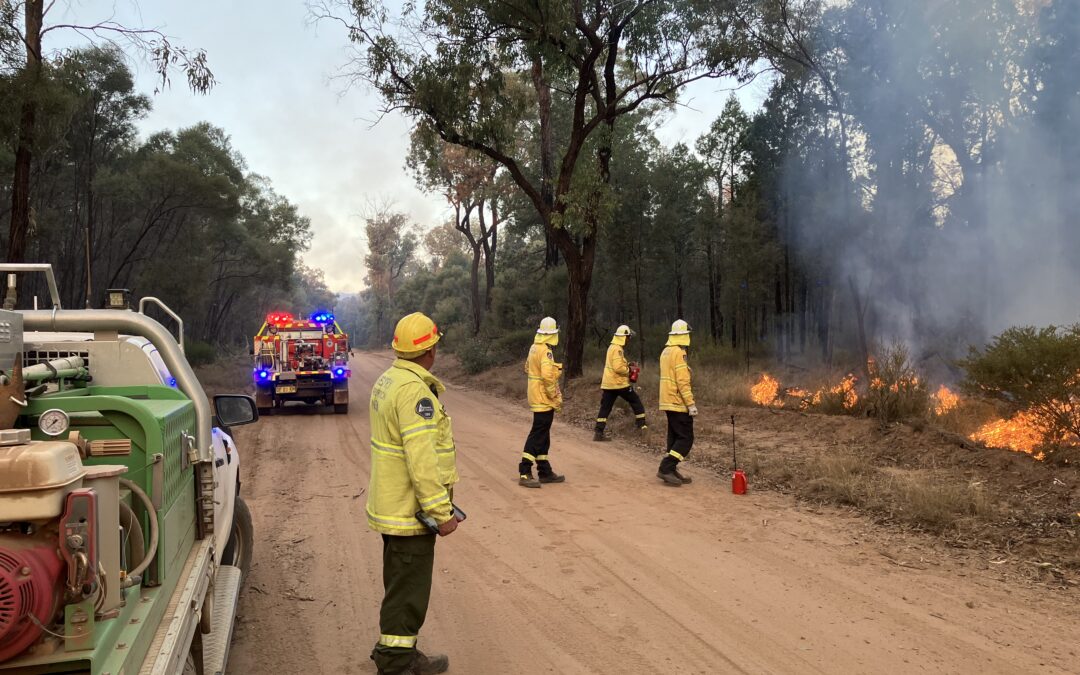 Hazard reduction burn staged in Jacks Creek State Forest