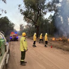 Hazard reduction burn staged in Jacks Creek State Forest