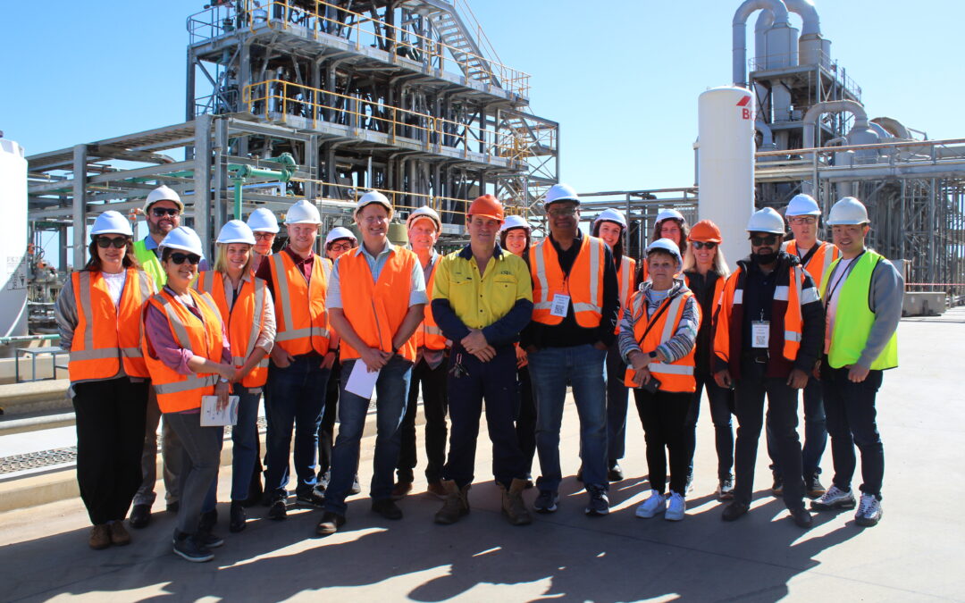 Farm, field and fashion tour visits Cotton Capital