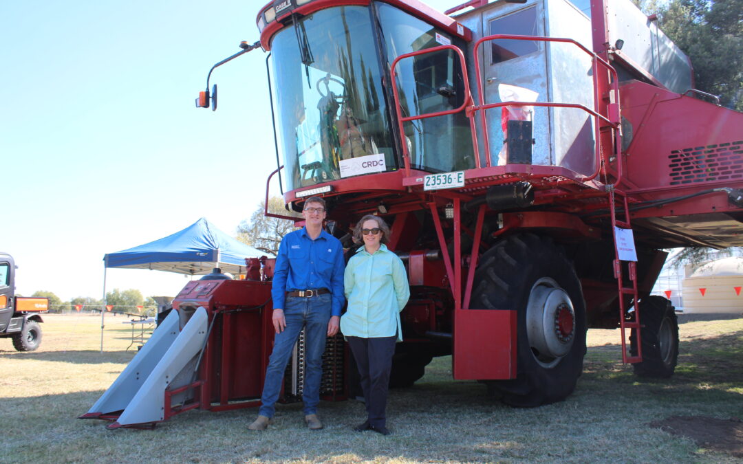 Celebrating 65 years of primary industries research in Narrabri
