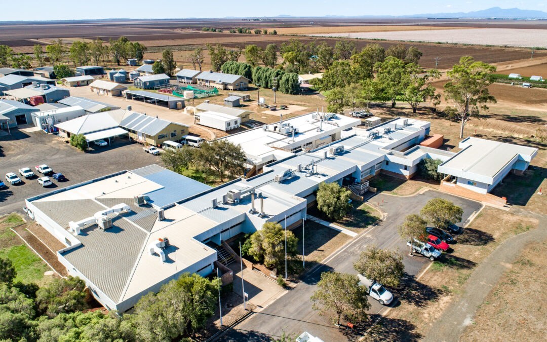 Open day to celebrate 65 years of research in Narrabri
