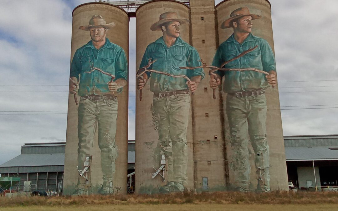 Probus painted silo tour