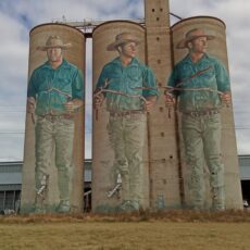 Probus painted silo tour