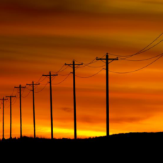 Underground powerline inquiry is welcomed by NSW Farmers
