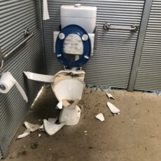 Toilet block vandalised at Pirate Park
