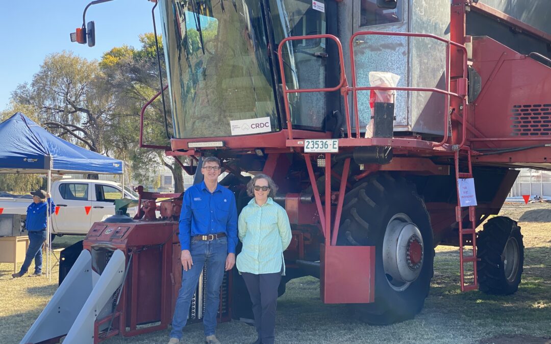 New cotton research leader announced
