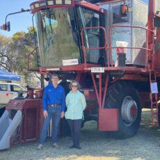 New cotton research leader announced