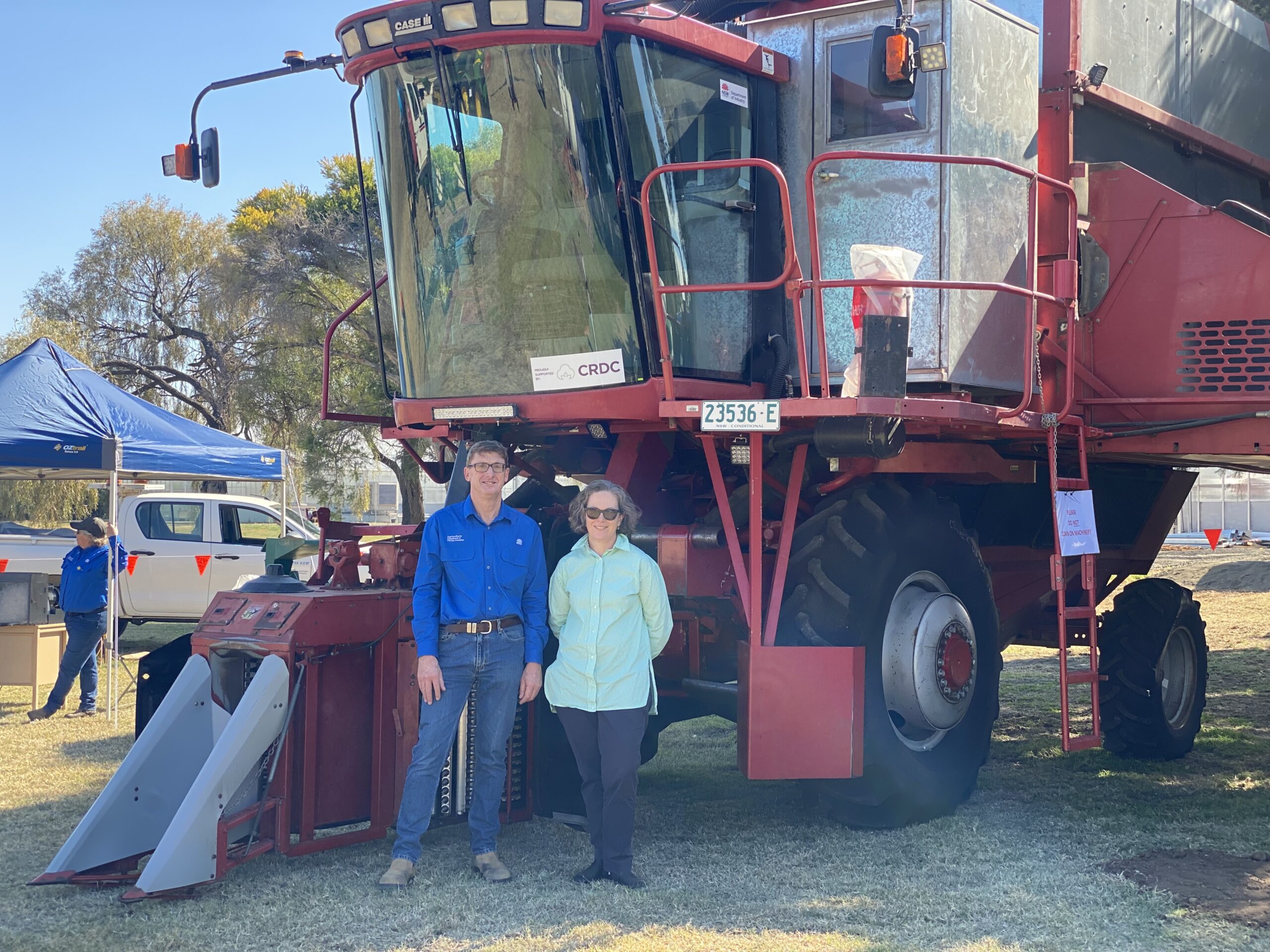 New cotton research leader announced