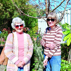 Would you like to be part of an open garden day?