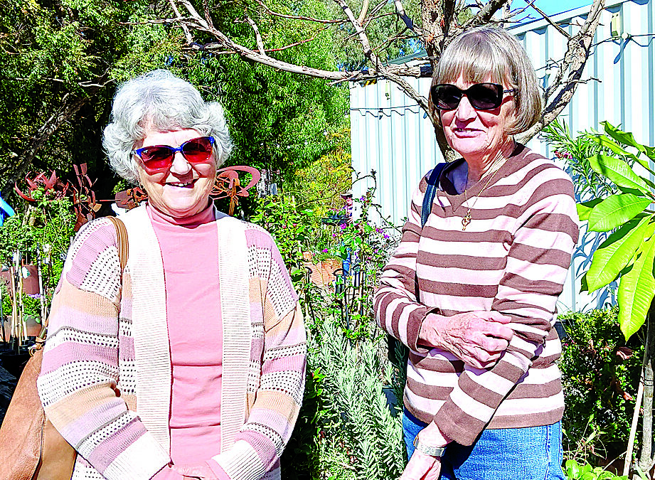 Would you like to be part of an open garden day?