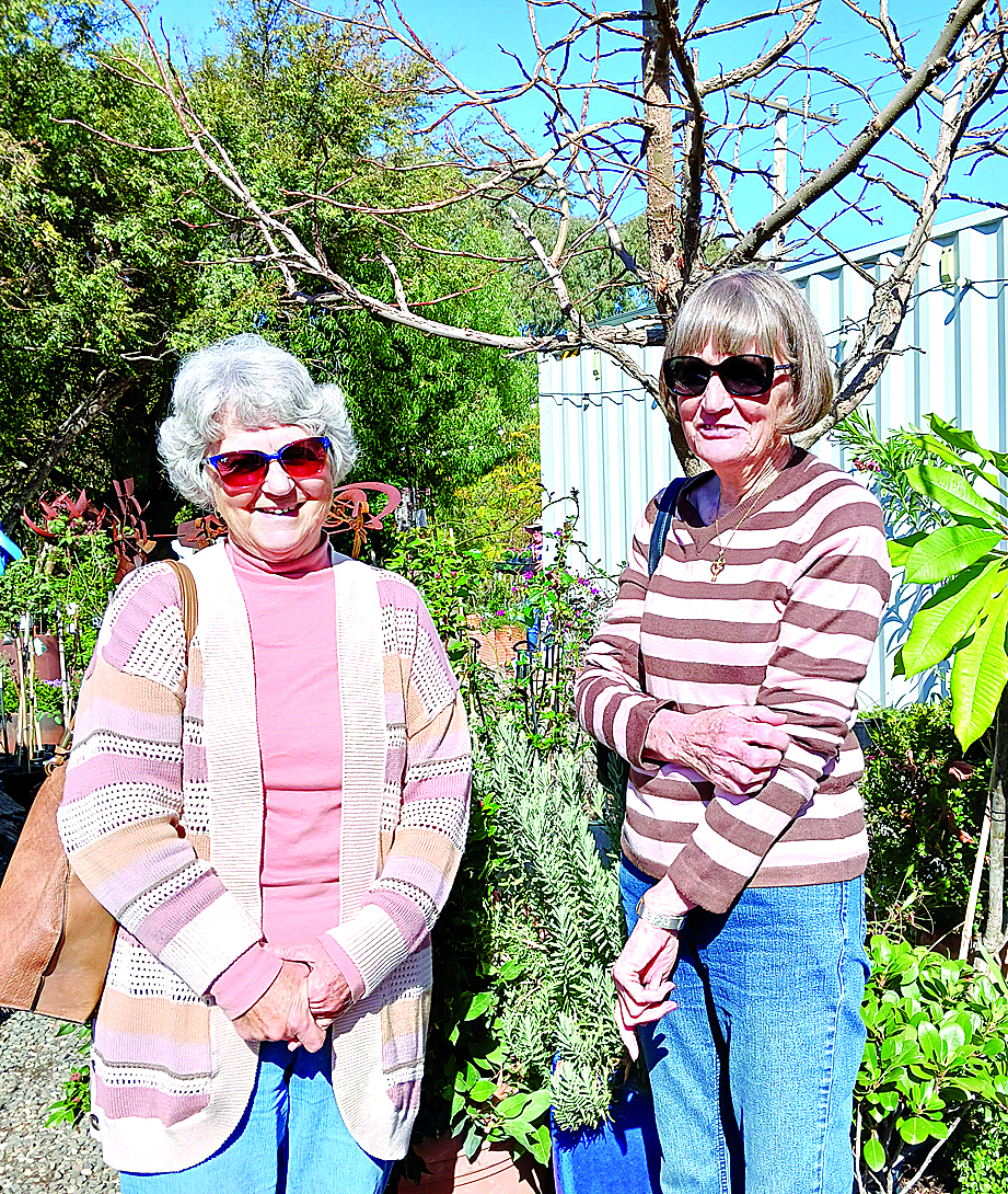 Would you like to be part of an open garden day?
