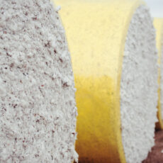 Cotton industry celebrates contribution to $100 billion agriculture milestone