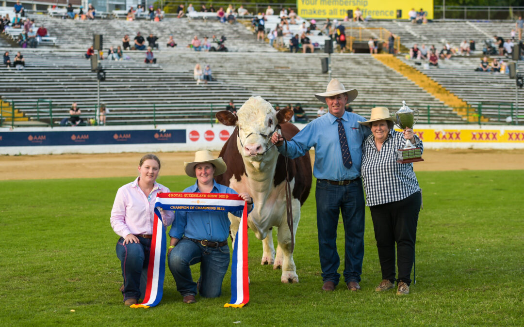 Truro Sherlock shines at Ekka