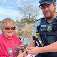 On the road with Narrabri’s resident roo rescue carer