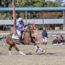 North West Plains Polocrosse names teams for 2023 NSW Zone Championships