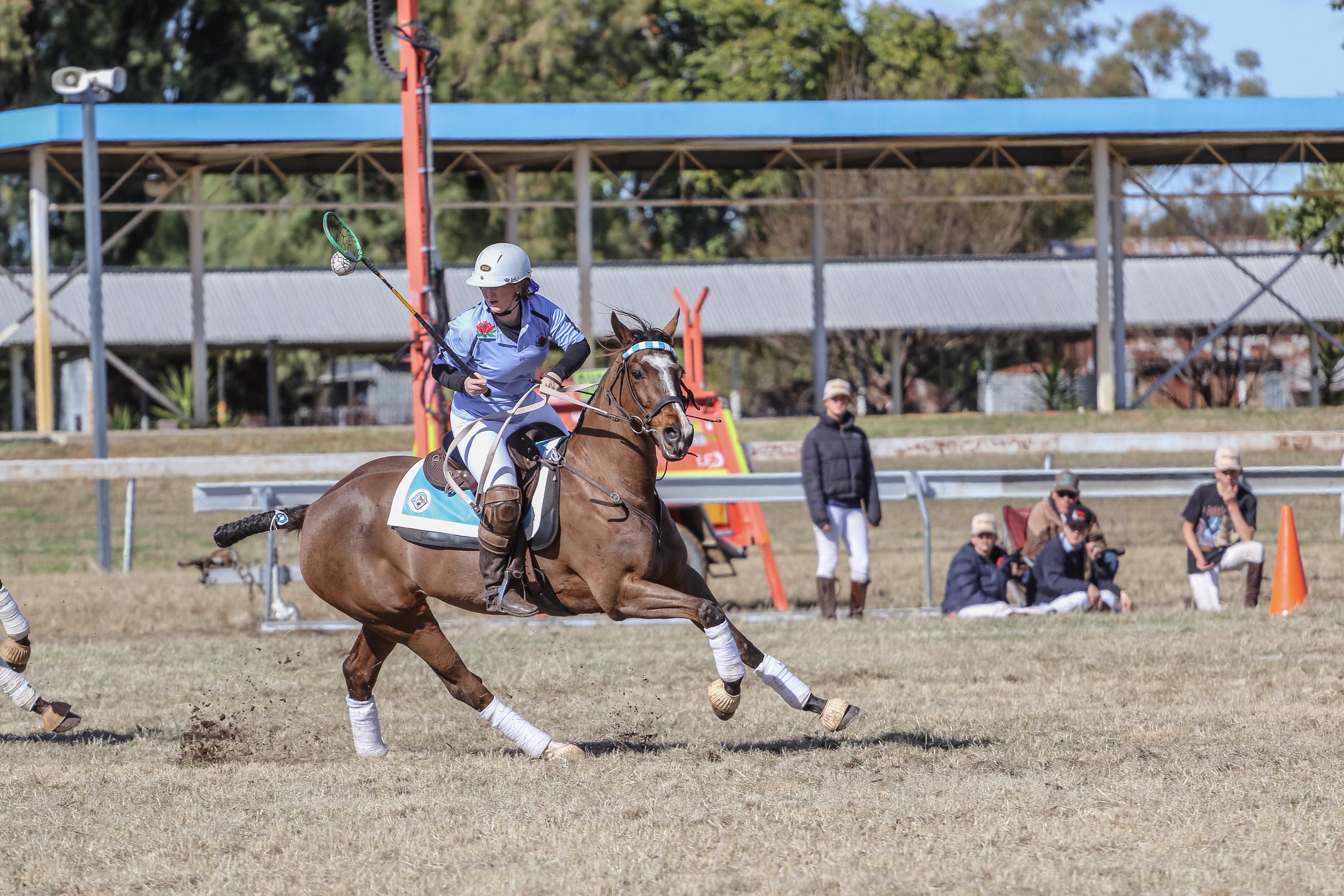 North West Plains Polocrosse names teams for 2023 NSW Zone Championships