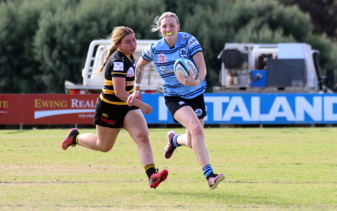 Blue Boars on top with one round to go after demolishing the Pirates