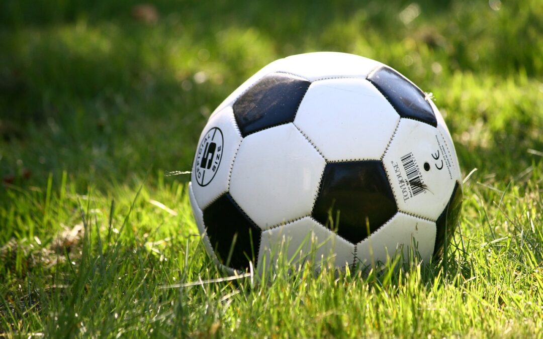 Matildas’ feats exciting – but is it public holiday worthy?