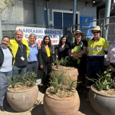 Celebration marks National Wattle Day | PHOTOS