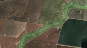 The revegetated corridor pictured from above