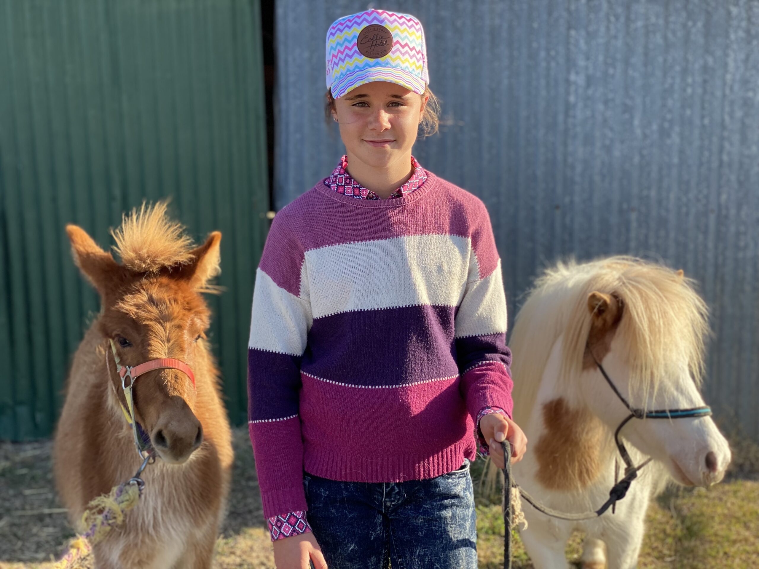 pet show: Emma Dixon with her mule named Fergus and pony named Patch.