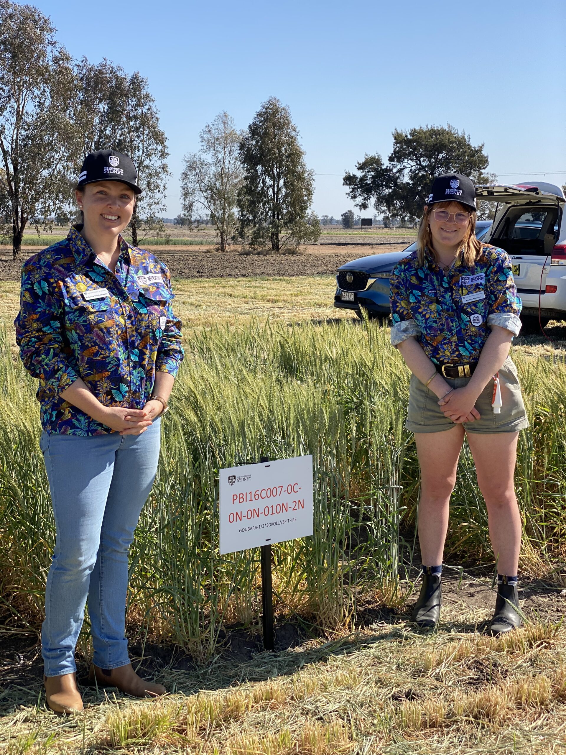 Dr Rebecca Thistlethwaite and Maddie Atkinson at the heat-tolerance pre-breeding site.