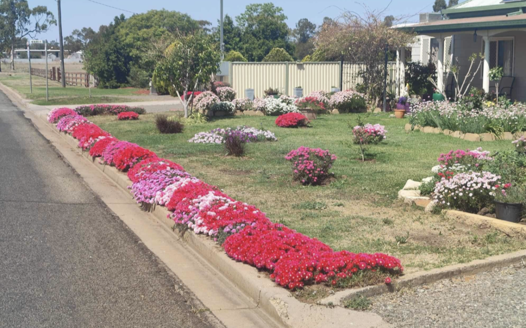 Open gardens this Saturday